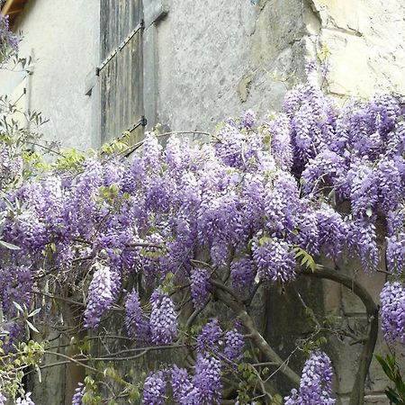 La Ferme St Michel Bed & Breakfast Solérieux Екстериор снимка