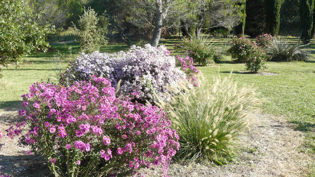 La Ferme St Michel Bed & Breakfast Solérieux Екстериор снимка