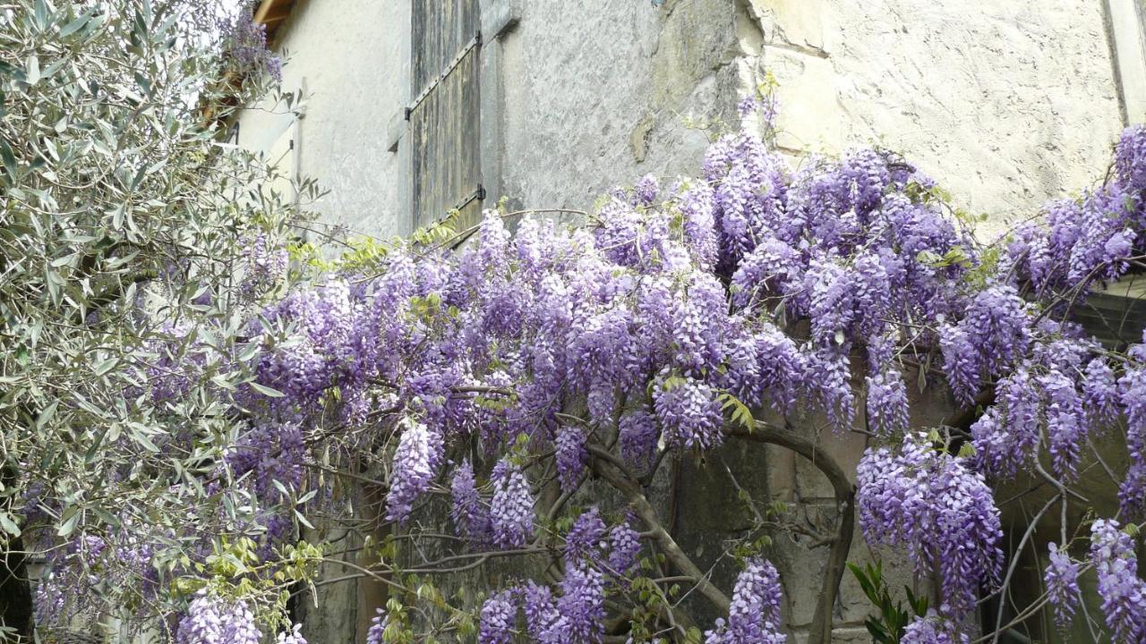 La Ferme St Michel Bed & Breakfast Solérieux Екстериор снимка